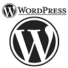 wordpress-100x100